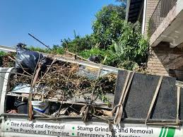 Best Yard Waste Removal  in Atwood, TN